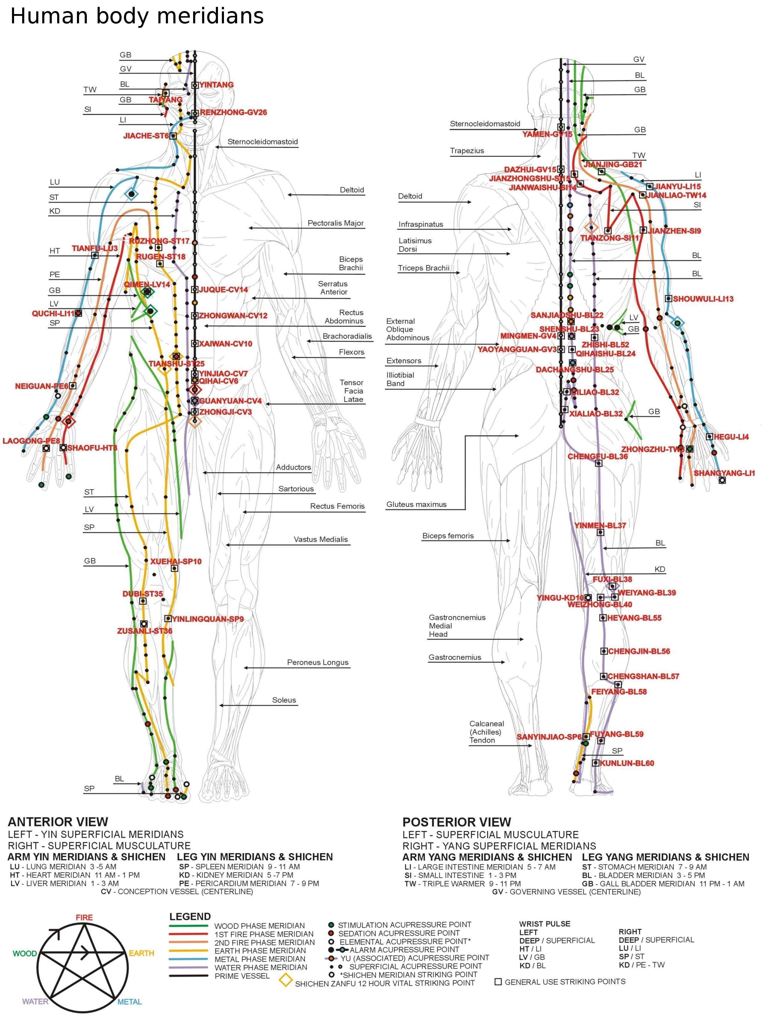 Energy meridians